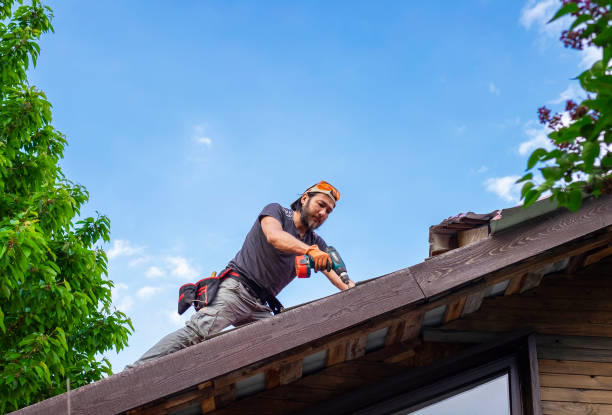 Best Commercial Roofing Services  in Dover, TN